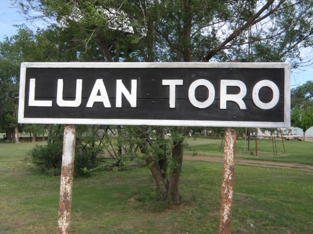 Luan Toro